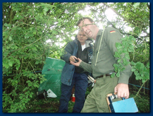 600x449 pixels (171K)